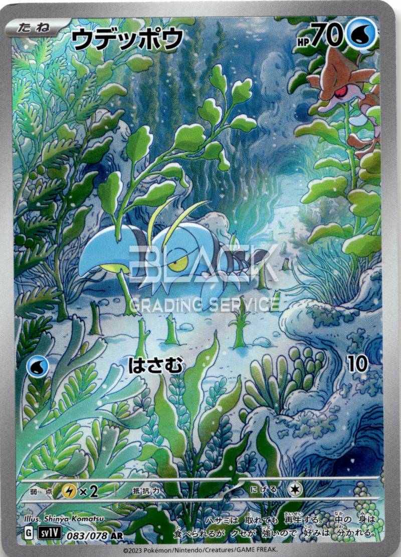 Category Image